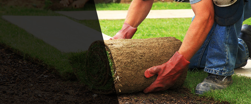 Arcadia Landscapers